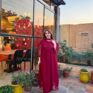 Chiffon Dress Design